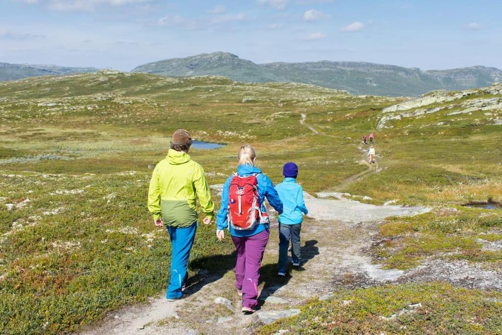 Skeikampen leilighet, Veslesetervegen 973 F Appartement Svingvoll Buitenkant foto
