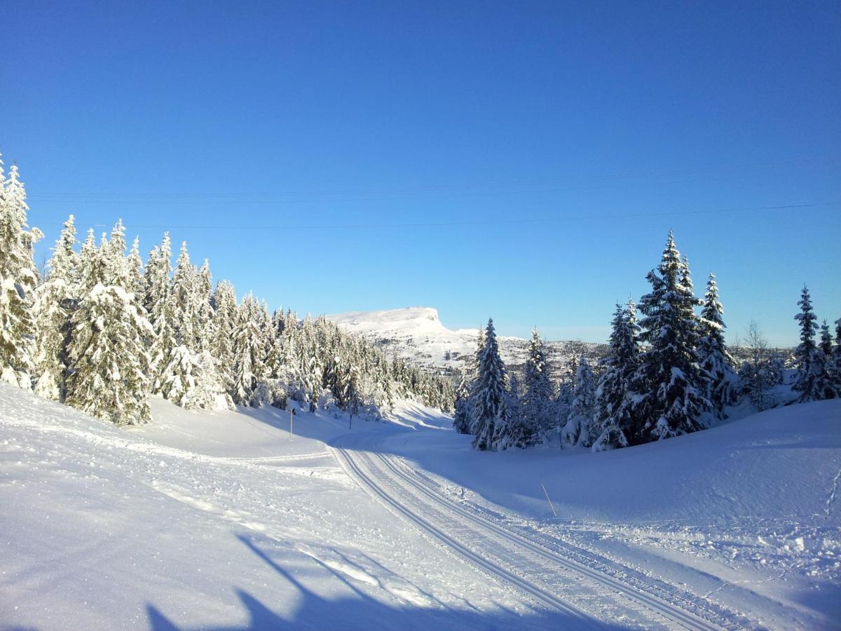 Skeikampen leilighet, Veslesetervegen 973 F Appartement Svingvoll Buitenkant foto